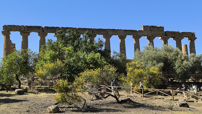 Temple