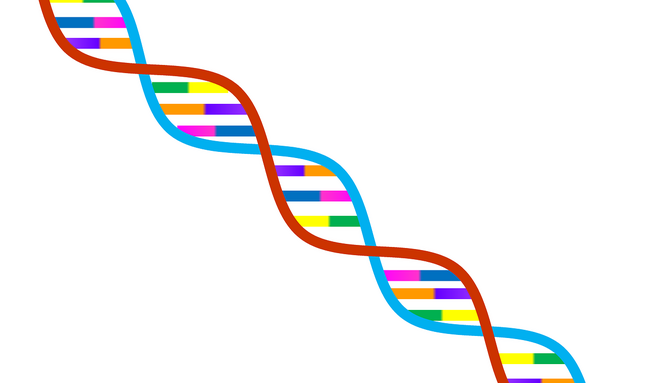 dna-1020669_1280.png
